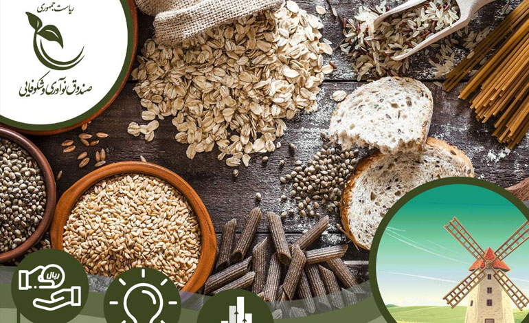 ارائه ۸ طرح سرمایه‌پذیر در رویداد «دوشنبه‌های استارت‌آپی» حوزه غلات، آرد، نان و آنزیم‌های صنایع غذایی