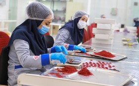 بازدید مدیرعامل بورس کالای ایران از انبارهای بورسی زعفران