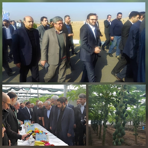 بازدید مدیرعامل بانک کشاورزی و وزیر اقتصاد از پروژه راهبردی «گوزل طبیعت ارس»/ تأکید بر تقویت سرمایه‌گذاری و توسعه اقتصاد صادرات‌محور