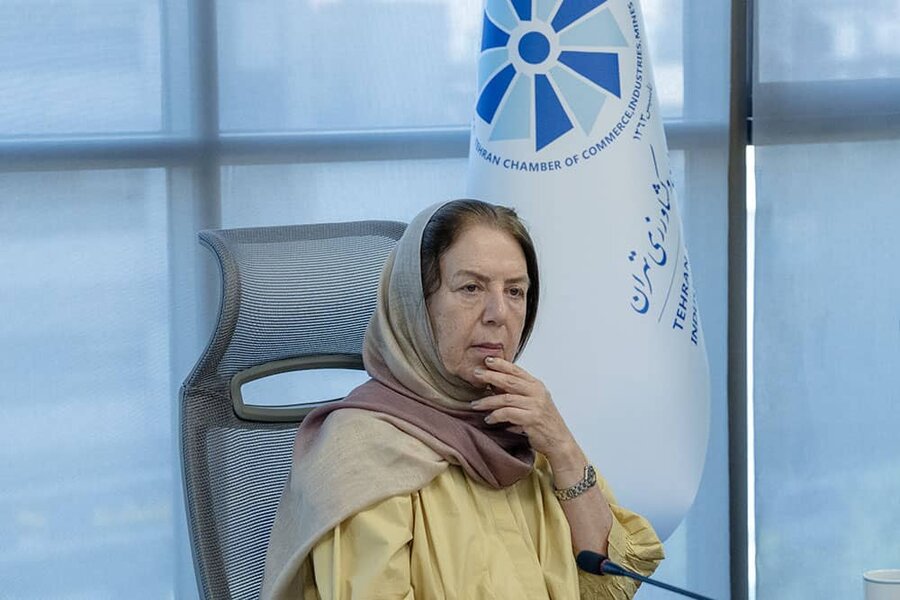 پیشنهاد اوراق بهادارسازی پروانه بهره برداری معادن